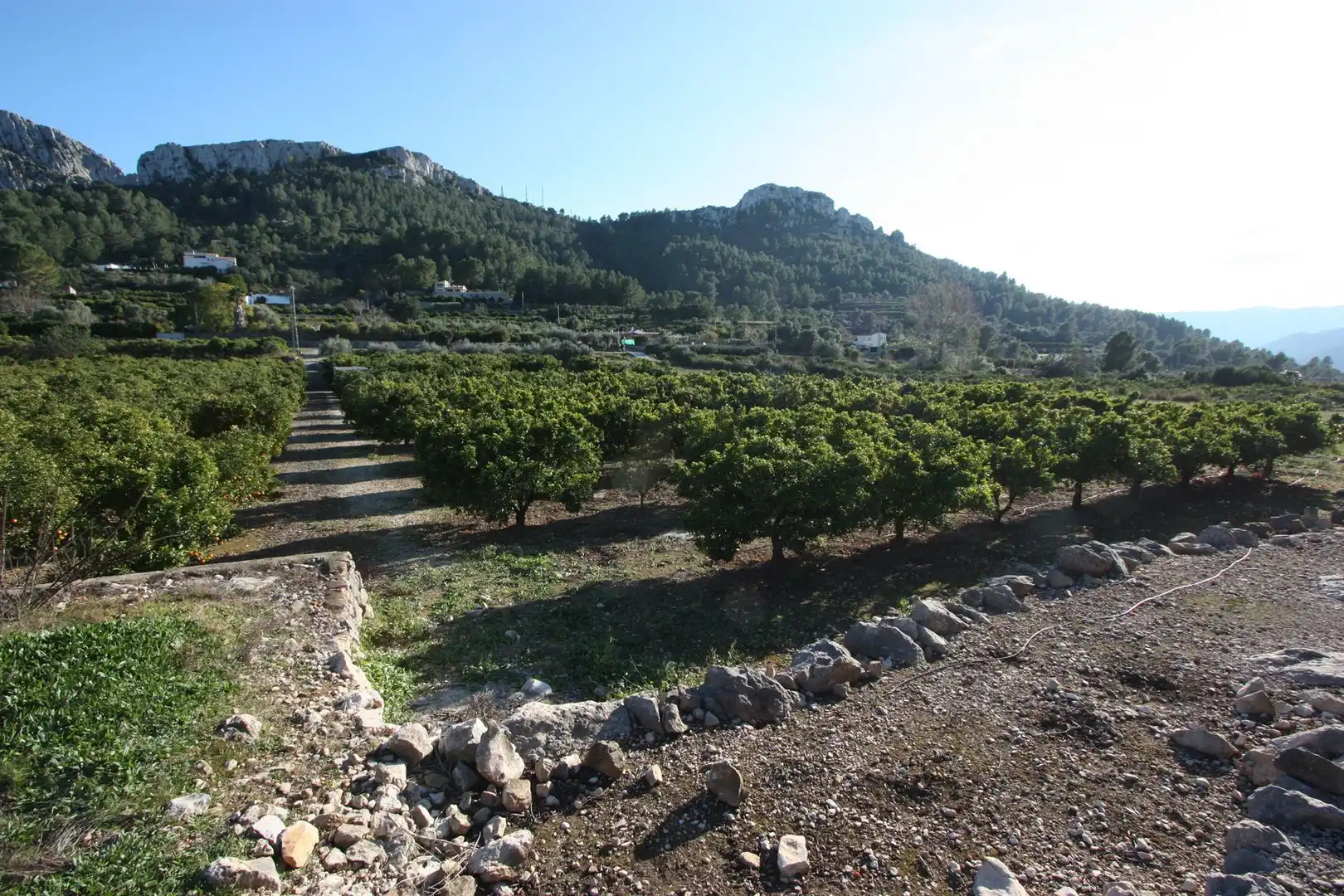Lands and plots for sale in Benimeli, imagen 4