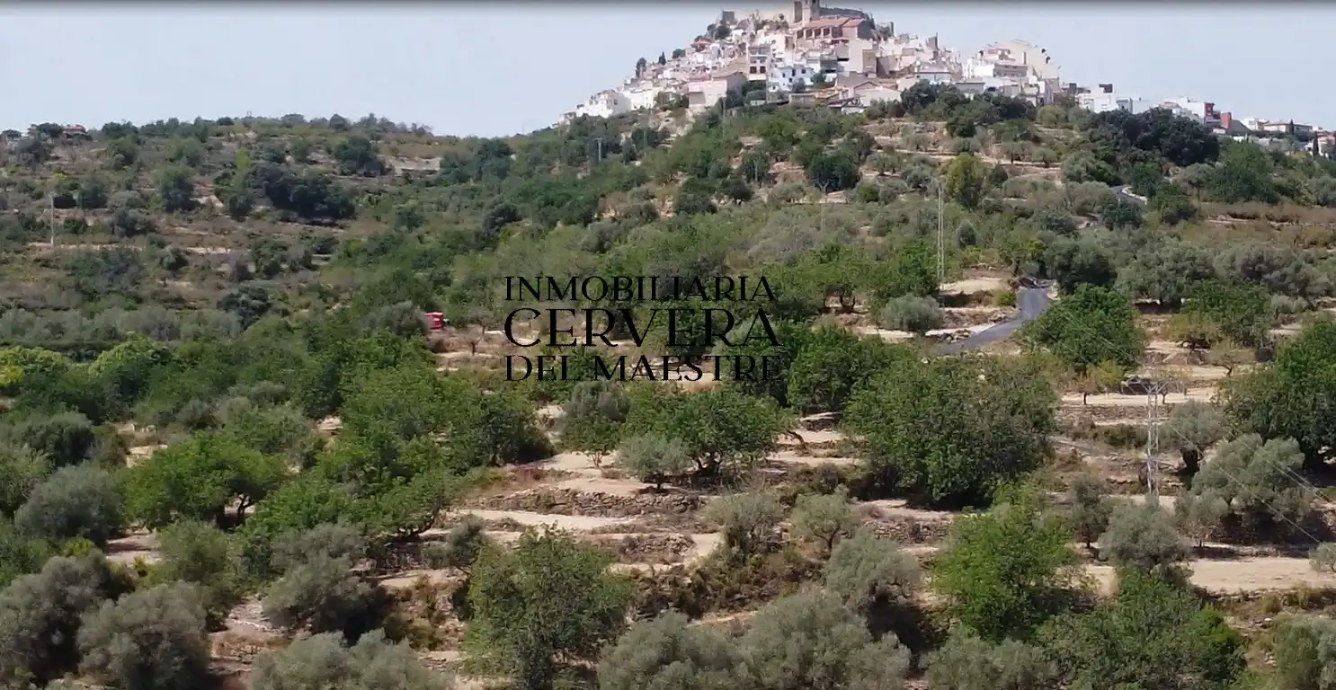 Terreno rustico in vendita a Cervera del Maestre, imagen 12