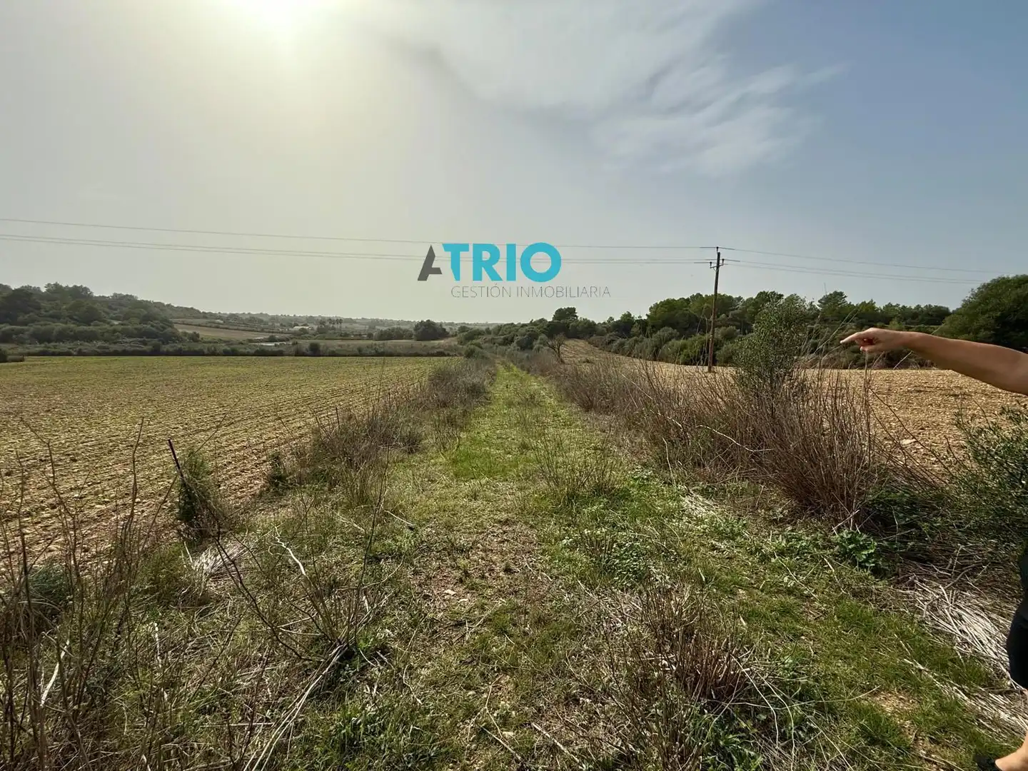 Terreny rústic en venda a Santa Margalida Poble, imagen 3