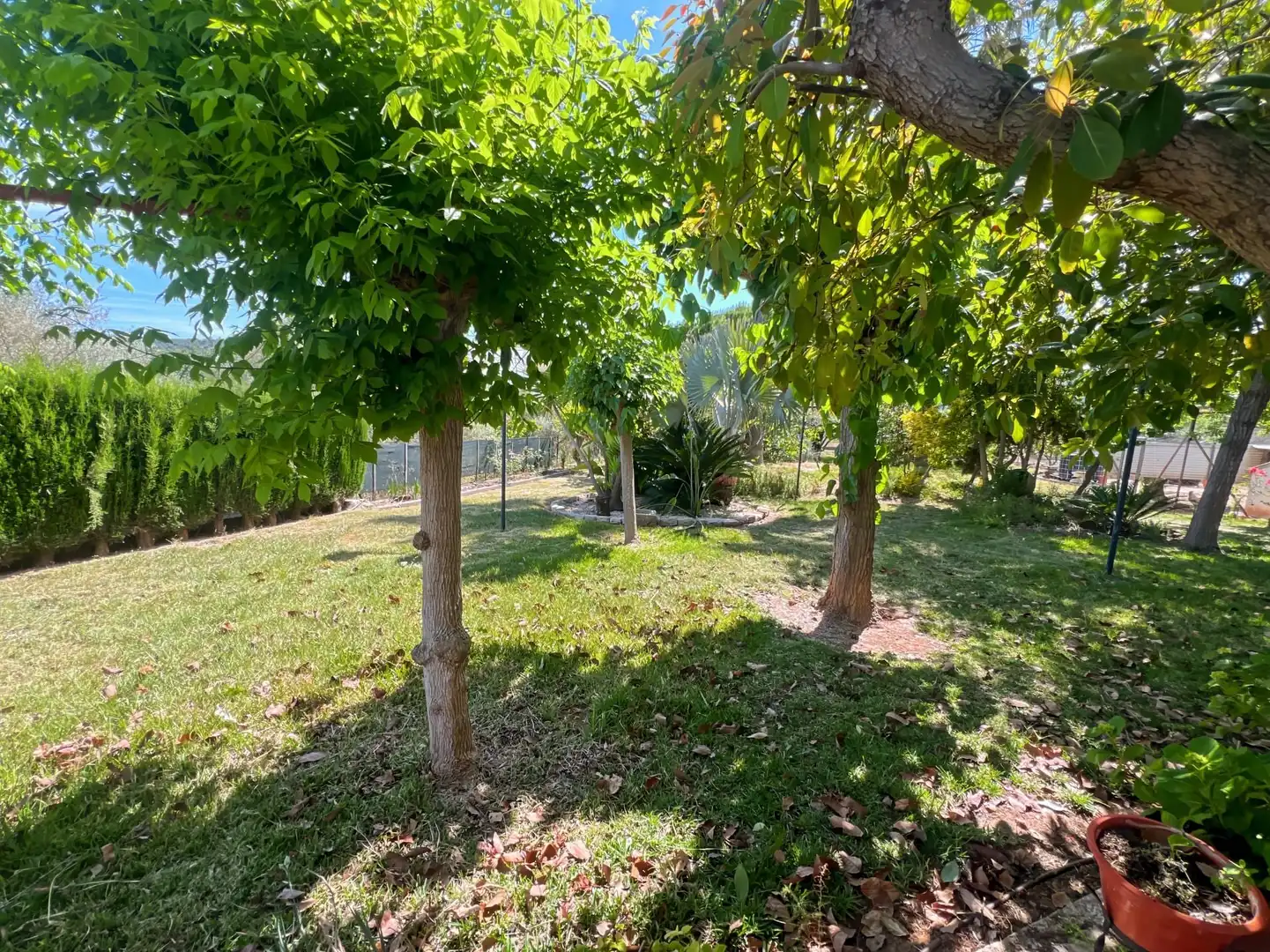 Detached house with pool for sale in Borriol, imagen 39