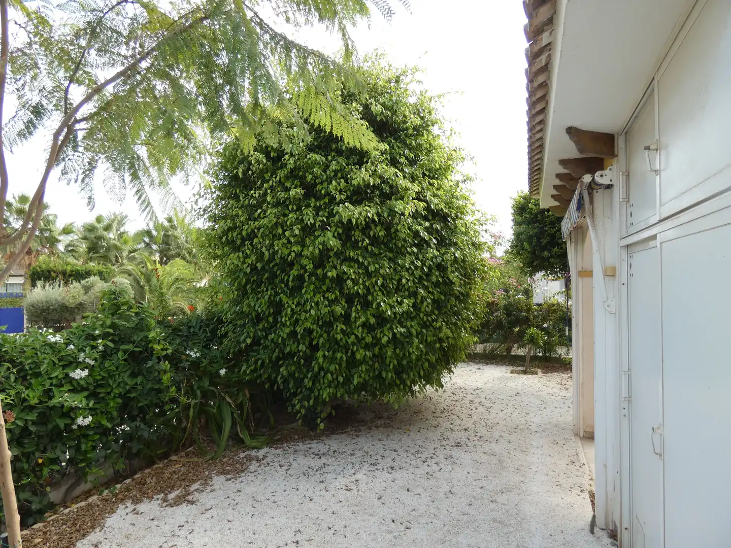 Garten von Einfamilien-Reihenhaus zur Miete in Vera mit Klimaanlage, Heizung und Privatgarten