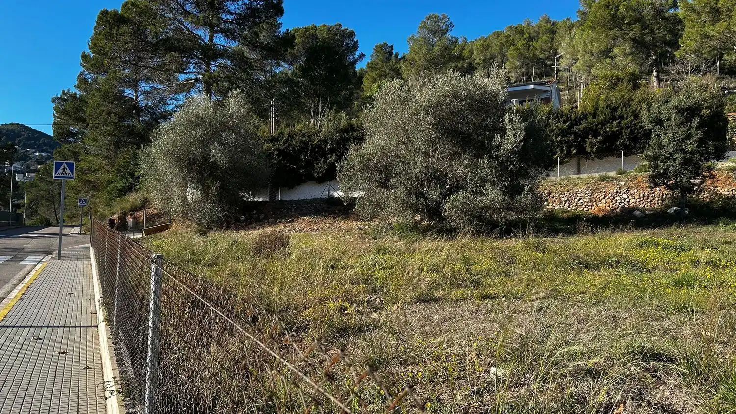 Terreny rústic en venda a Corbera de Llobregat, imagen 4