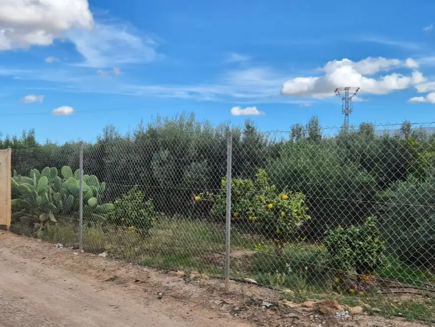 Land for sale in Torre-Pacheco