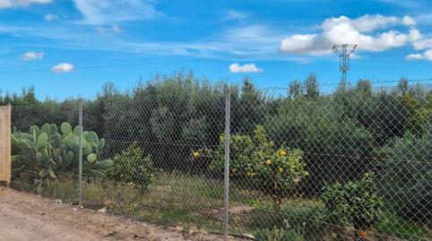 Foto 2 de Terreno en venta en Diseminado Rojos, 137, Balsicas, Murcia