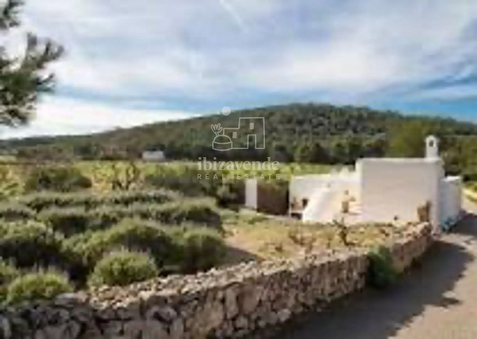 Villa mit Pool zum Verkauf in De San Juan, imagen 5