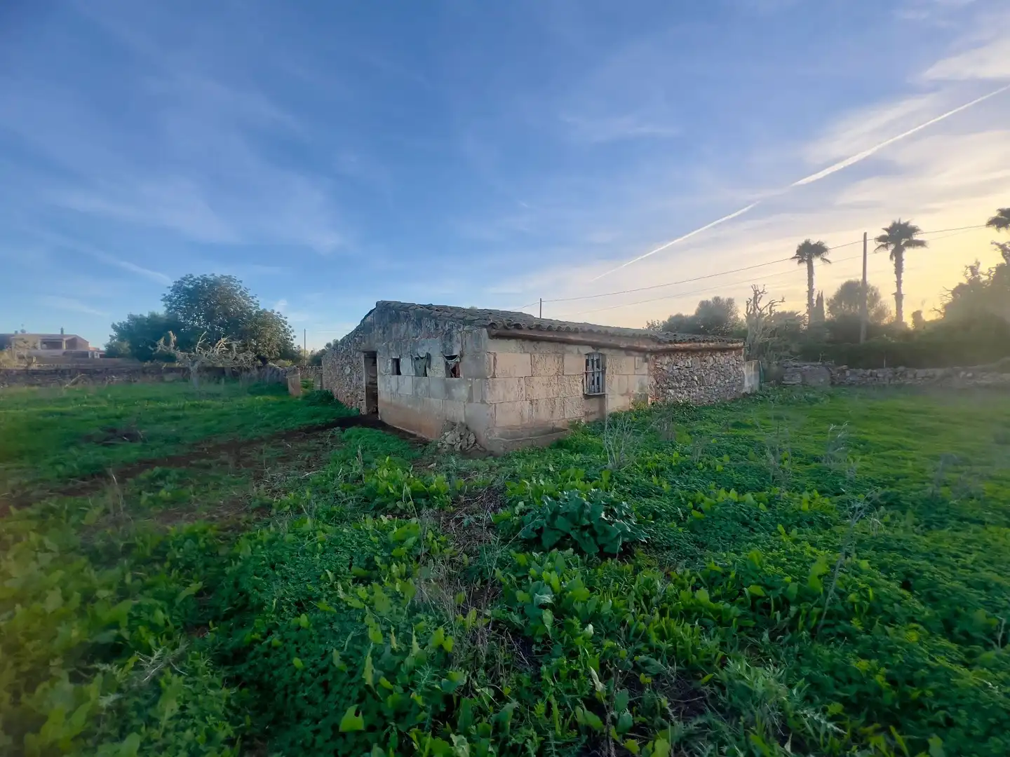 Rural land for sale in Cas Concos - Santanyí, imagen 11