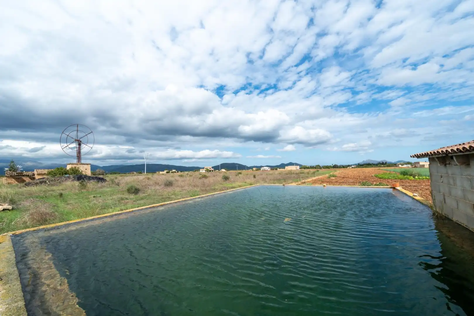 Swimming pool of Residential for sale in Muro, Illes Balears