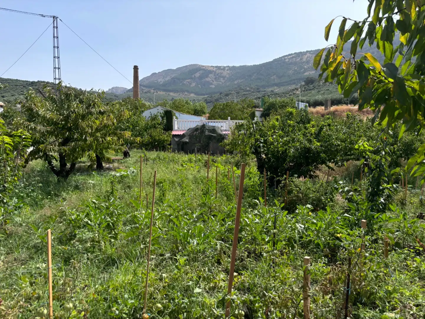 House with garden for sale in Avda de Jaen 47, imagen 18