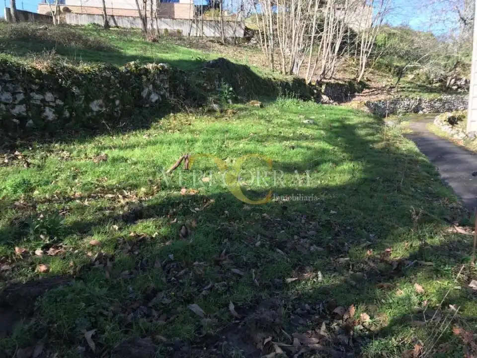 Terreno rustico in vendita a San Roque del Acebal, imagen 6