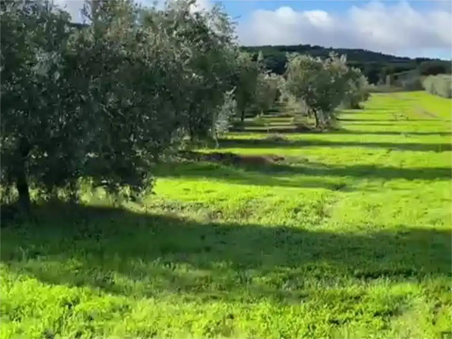 Piso en venta en Piedrabuena