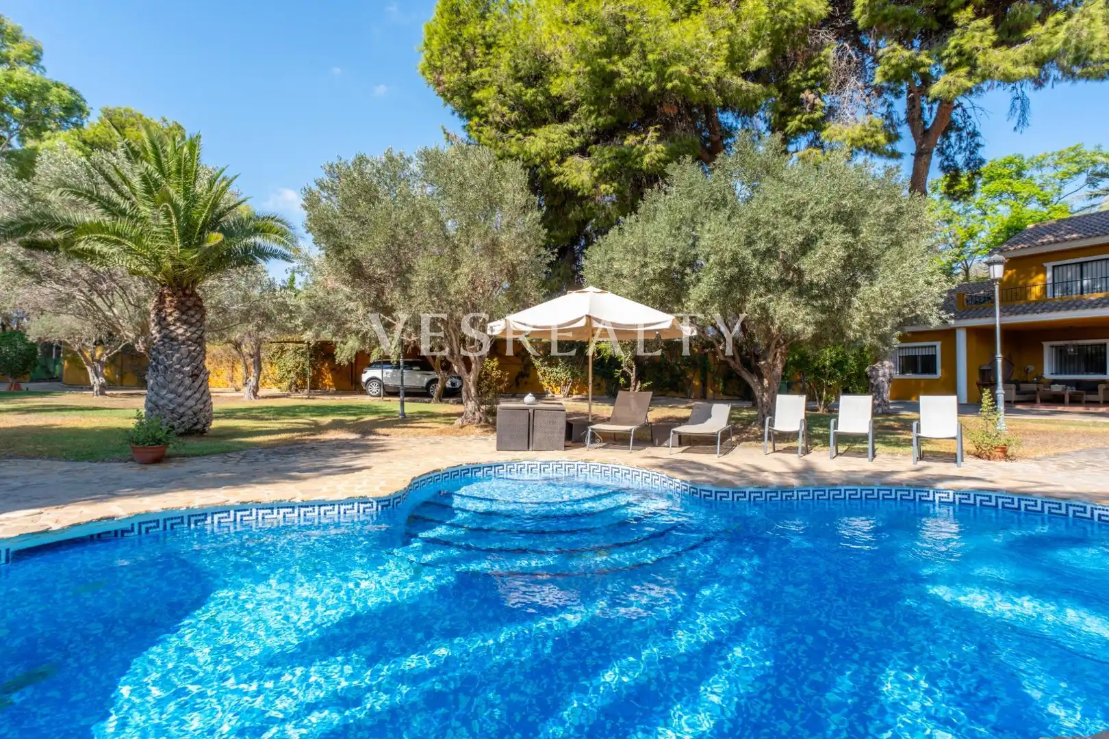 Swimming pool of Houses for sale in Alicante / Alacant