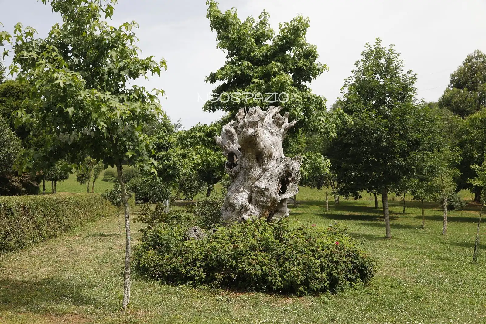 Jardín de Casa o chalet en venta en Castroverde con Calefacción y Amueblado