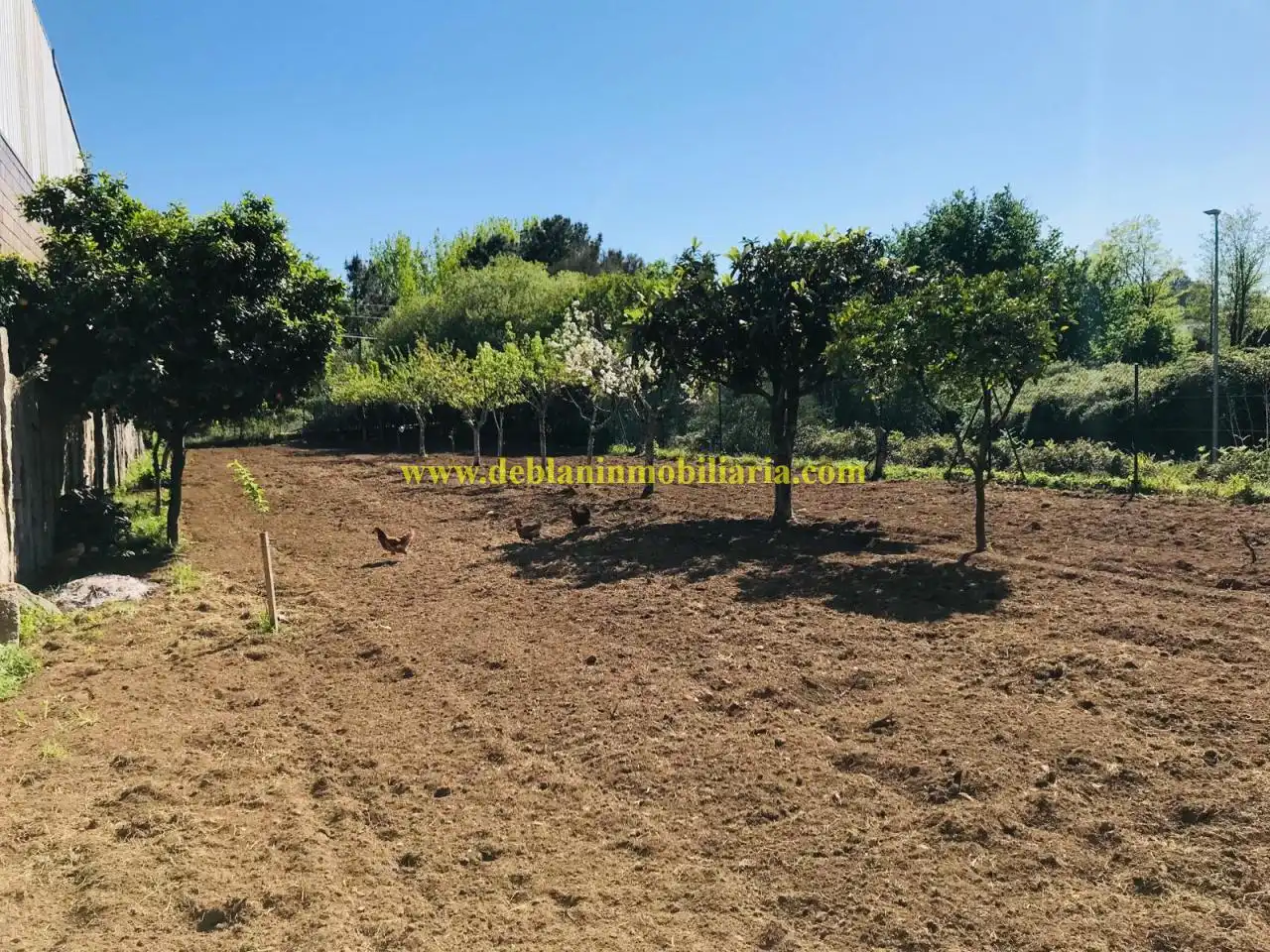 Terreno residencial en venta en Carretera N-50 Polígono 46, Parcela 61, imagen 4