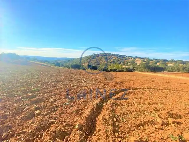 Lands and plots for sale in Fuente Obejuna, imagen 6