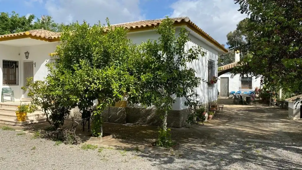 Vista exterior de Finca rústica en venta en Baena con Jardín privado, Terraza y Piscina
