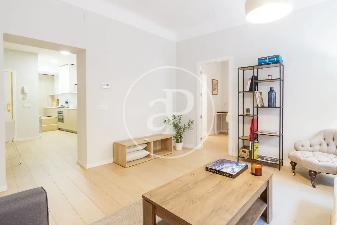 Living room of Flat for rent in Madrid  with Air Conditioner, Heating and Furnished