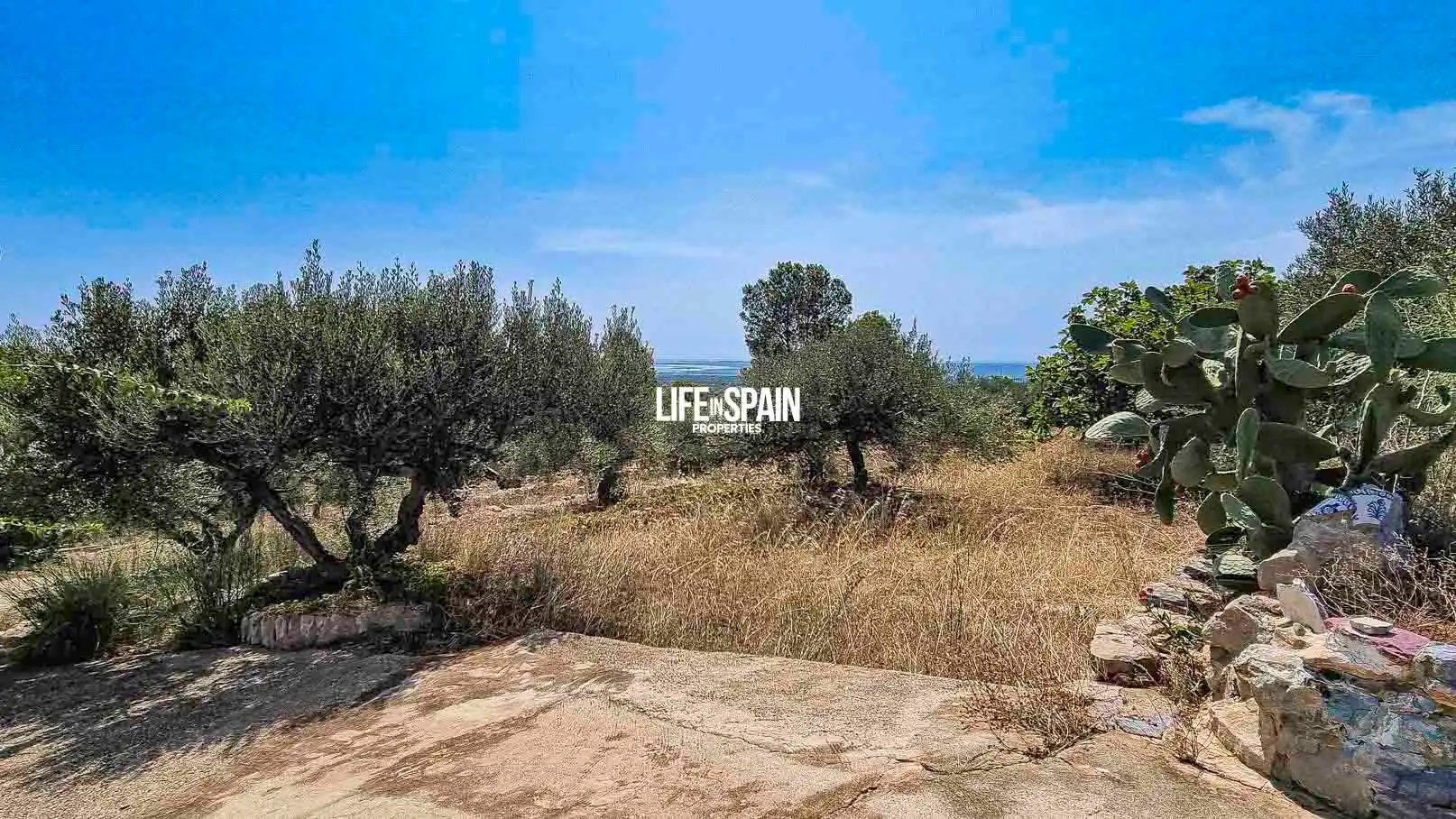 Villa avec piscine à vendre à Urbanitzacions, imagen 46