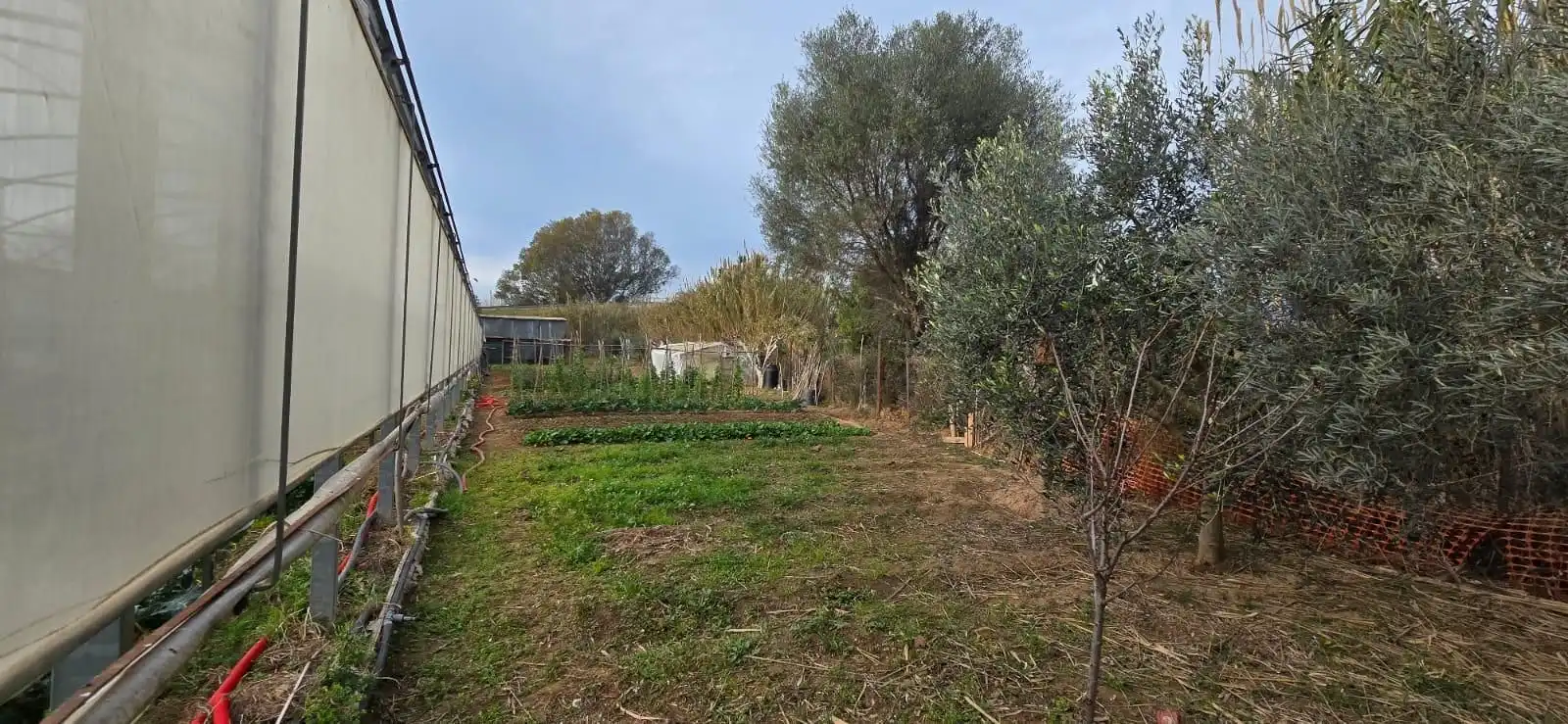 Terreno rústico en venta en Gavà Mar, imagen 2