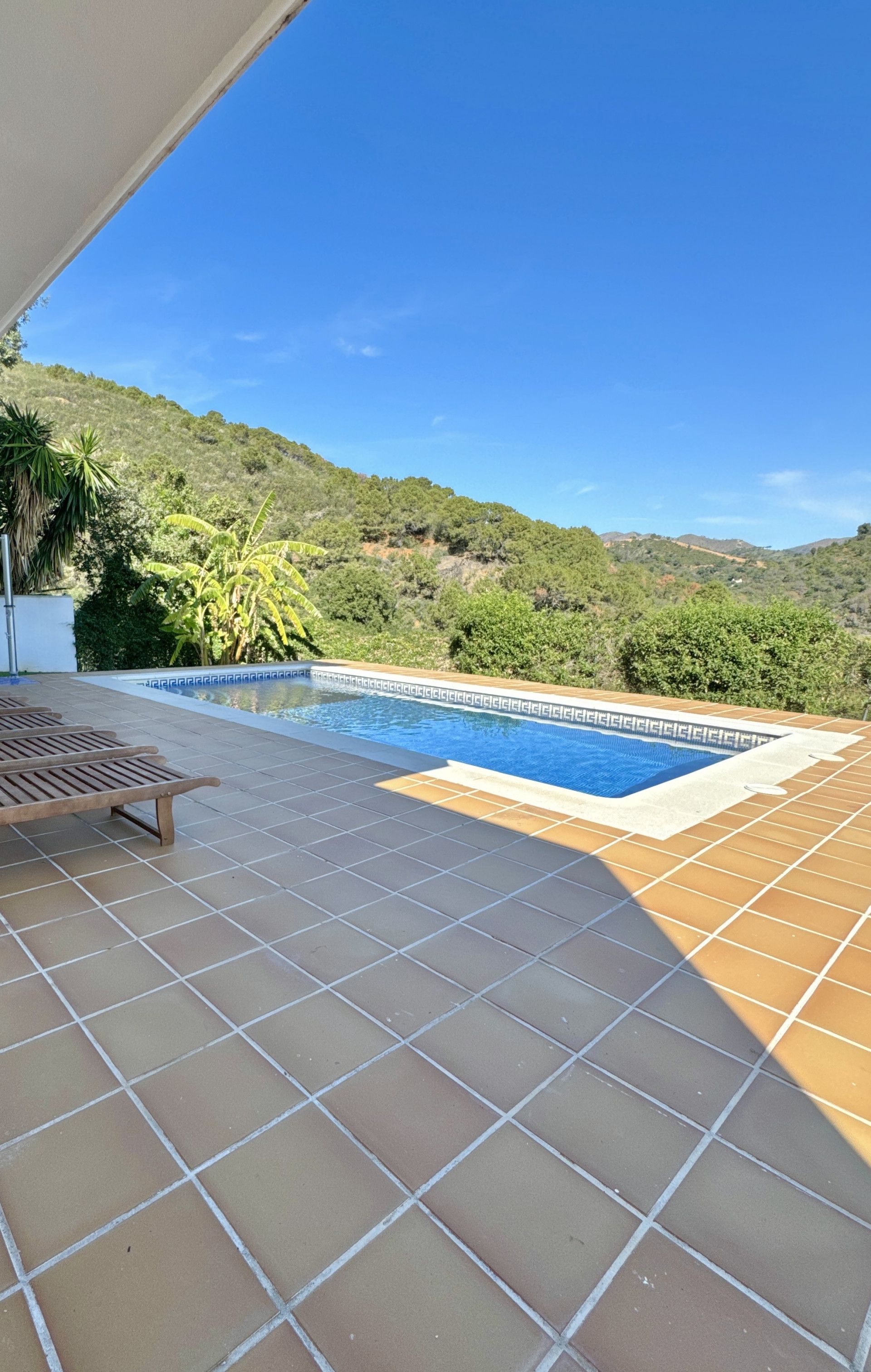 Piscina de Casa o xalet en venda en Estepona amb Aire condicionat, Terrassa i Moblat