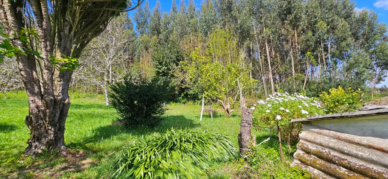 Jardí de Casa o xalet en venda en Narón amb Moblat