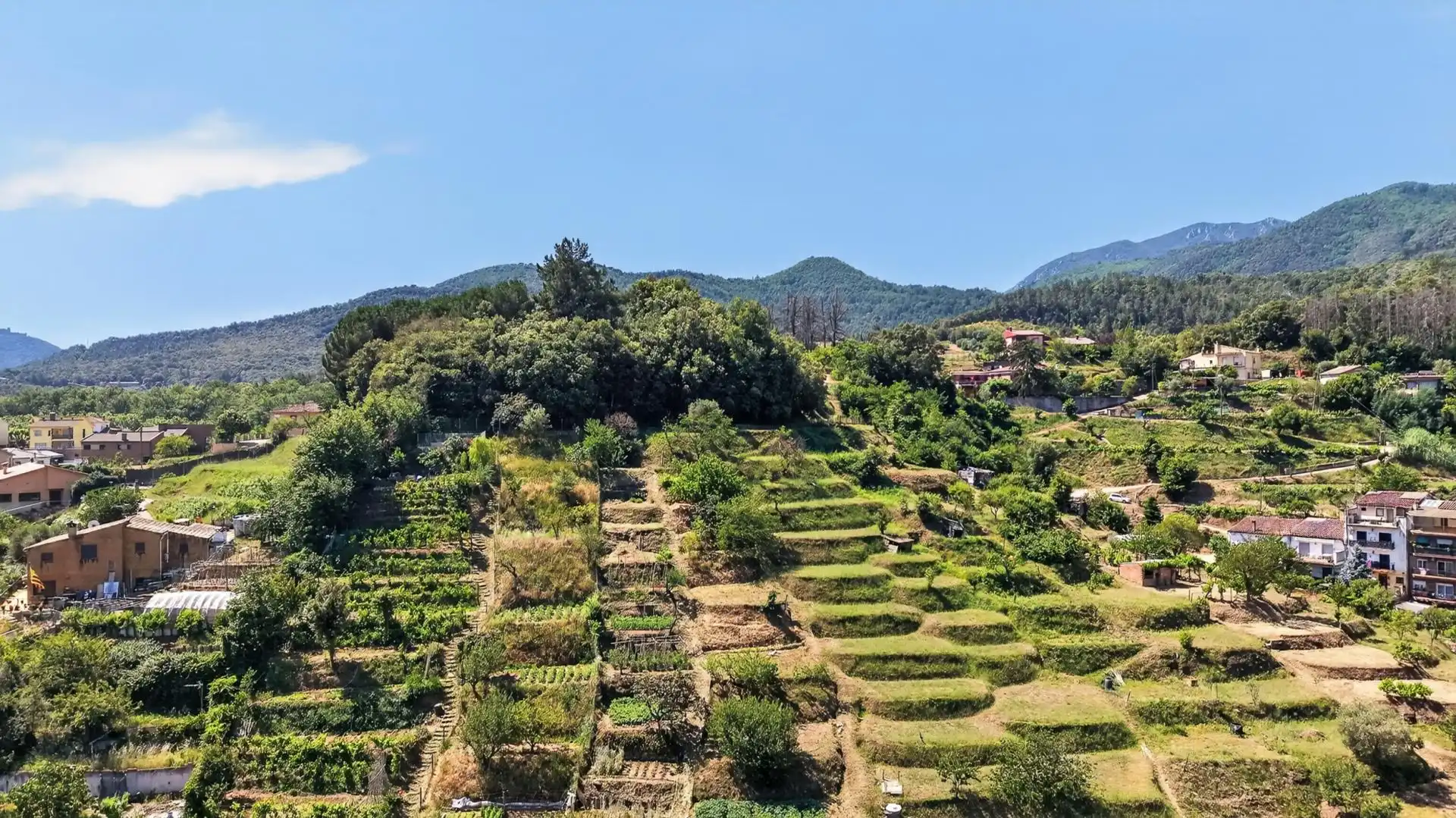 Jardín de Casa adosada en venta en Arbúcies