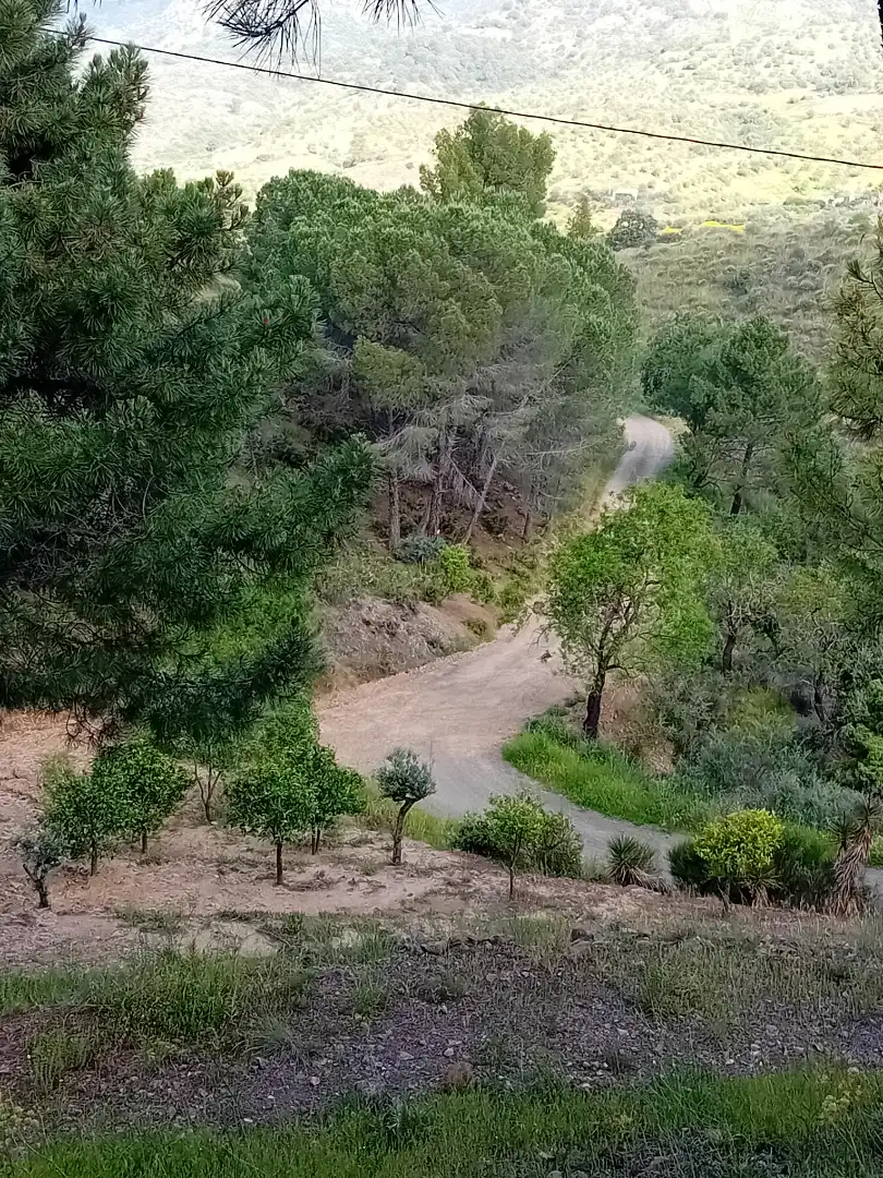 Terreno rustico in vendita a Monda, imagen 8