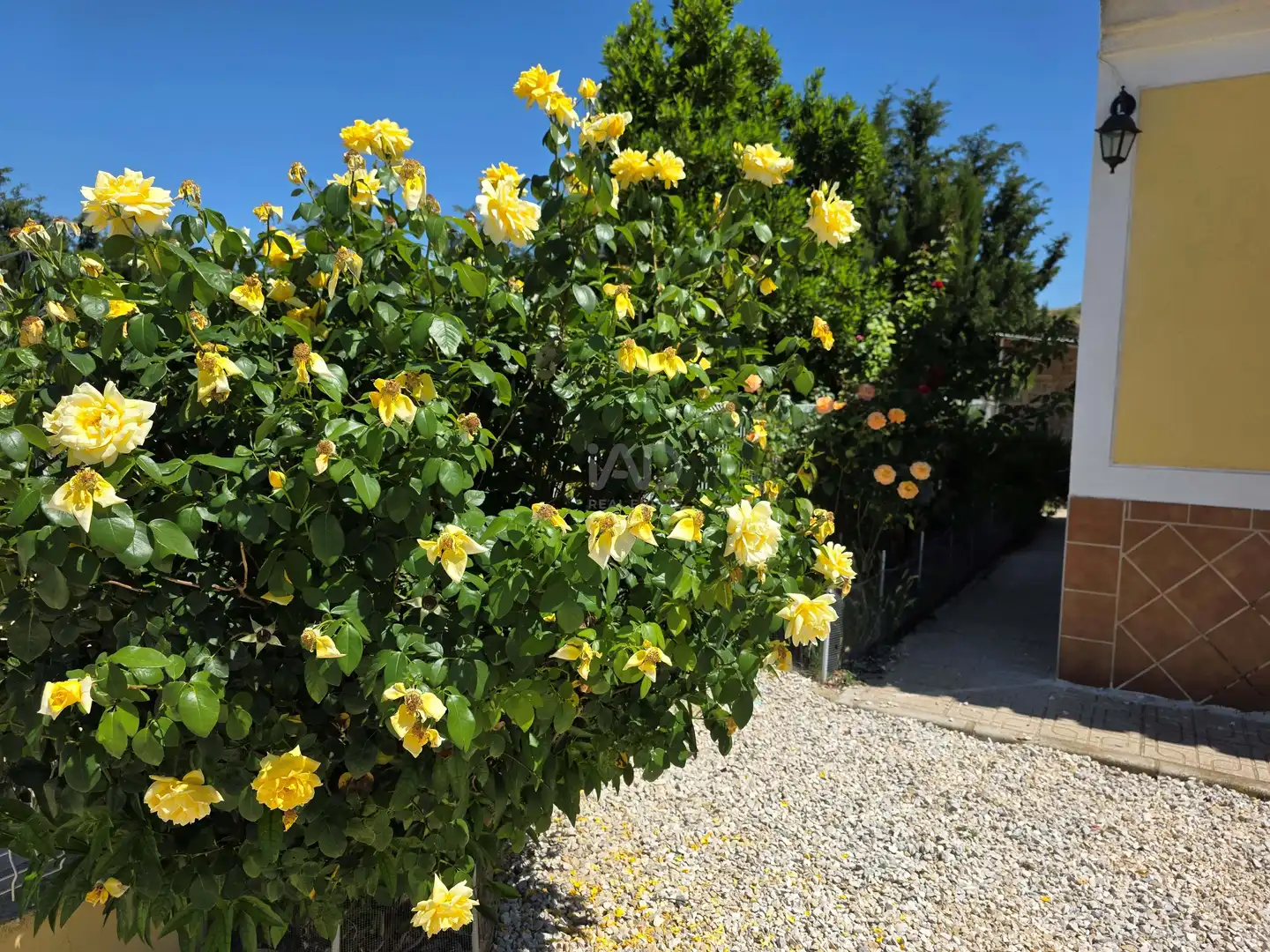Casa o chalet en venta en Calasparra