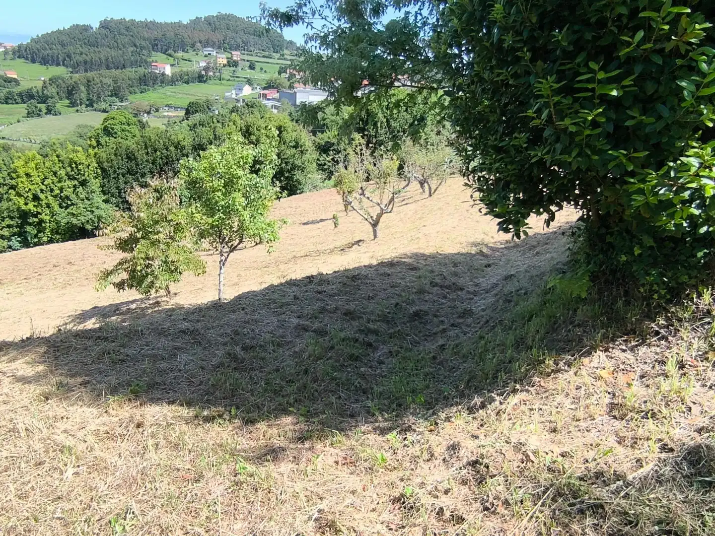 Terrenys i solars en venda a Lugar VILARNOVO, imagen 7