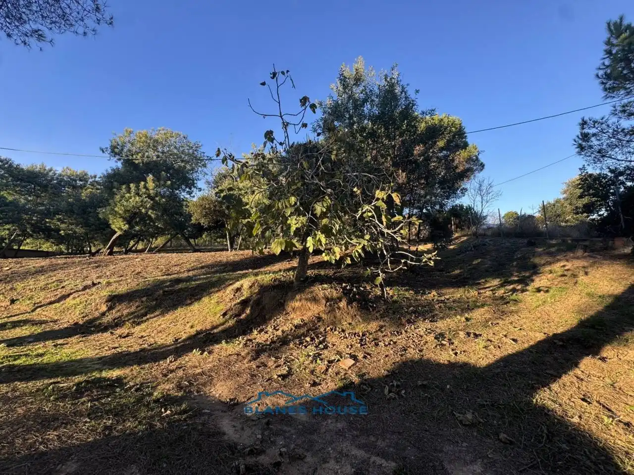 Finca rústica en venda en Tordera amb Jardí privat