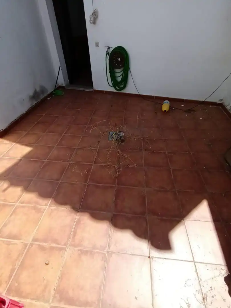 Jardí de Casa o xalet en venda en Valverde de Mérida amb Terrassa i Traster