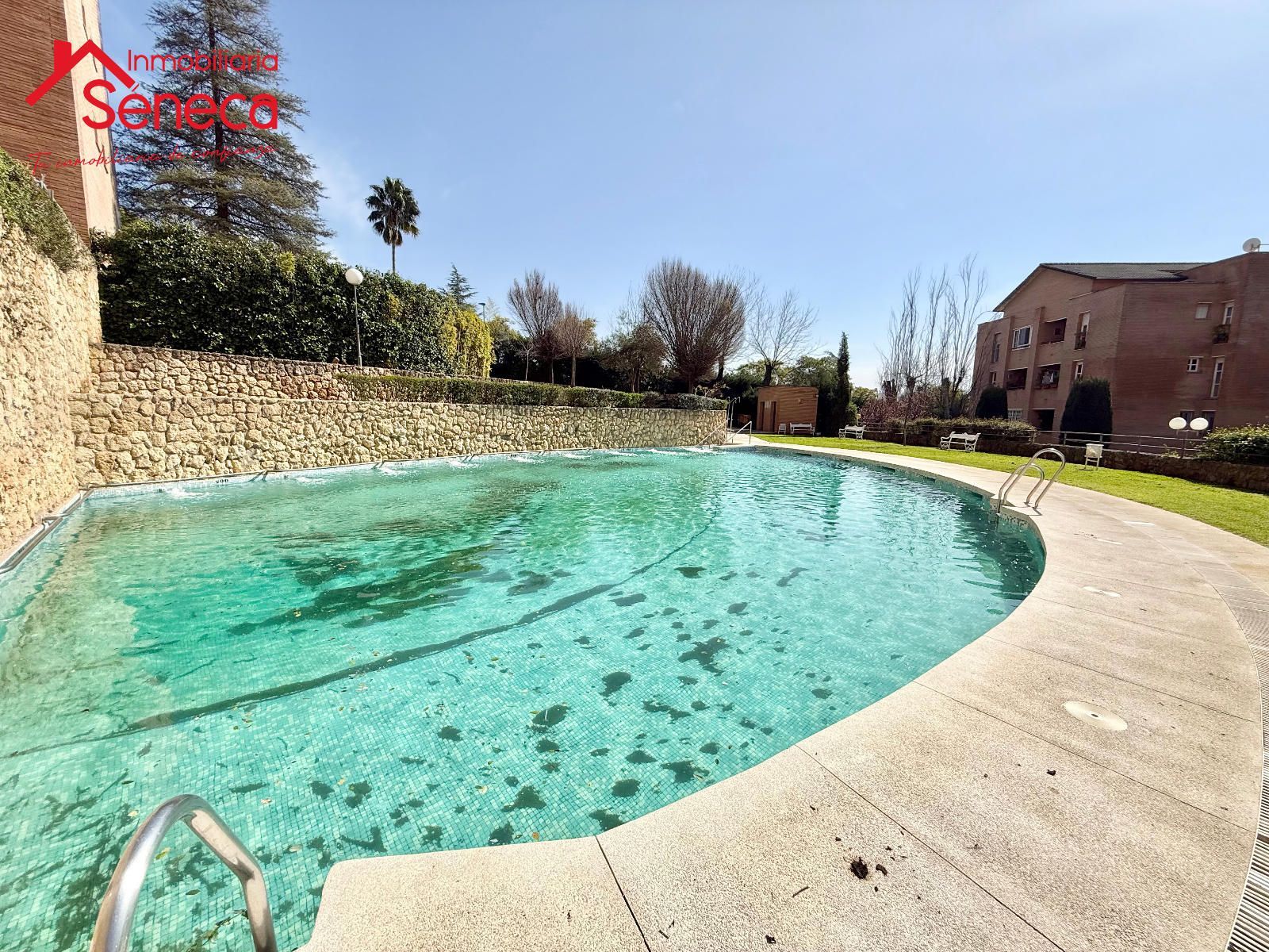 Swimming pool of Flat for sale in  Córdoba Capital  with Terrace, Swimming Pool and Community pool