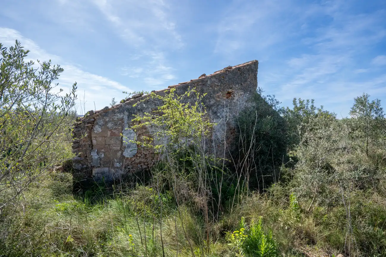 Rustikales Grundstück zum Verkauf in Ulldecona, imagen 5