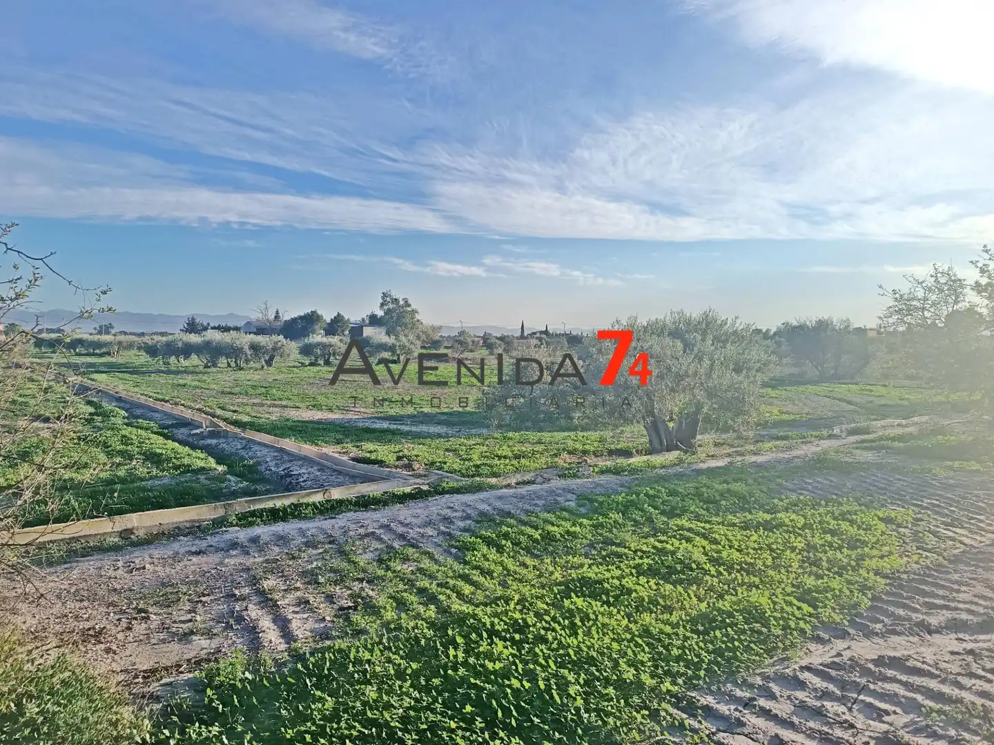 Houses for sale in Lorca