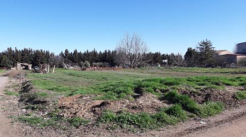 Solvia Inmobiliaria  Suelo Urbanizable Bellvís, immagine 2