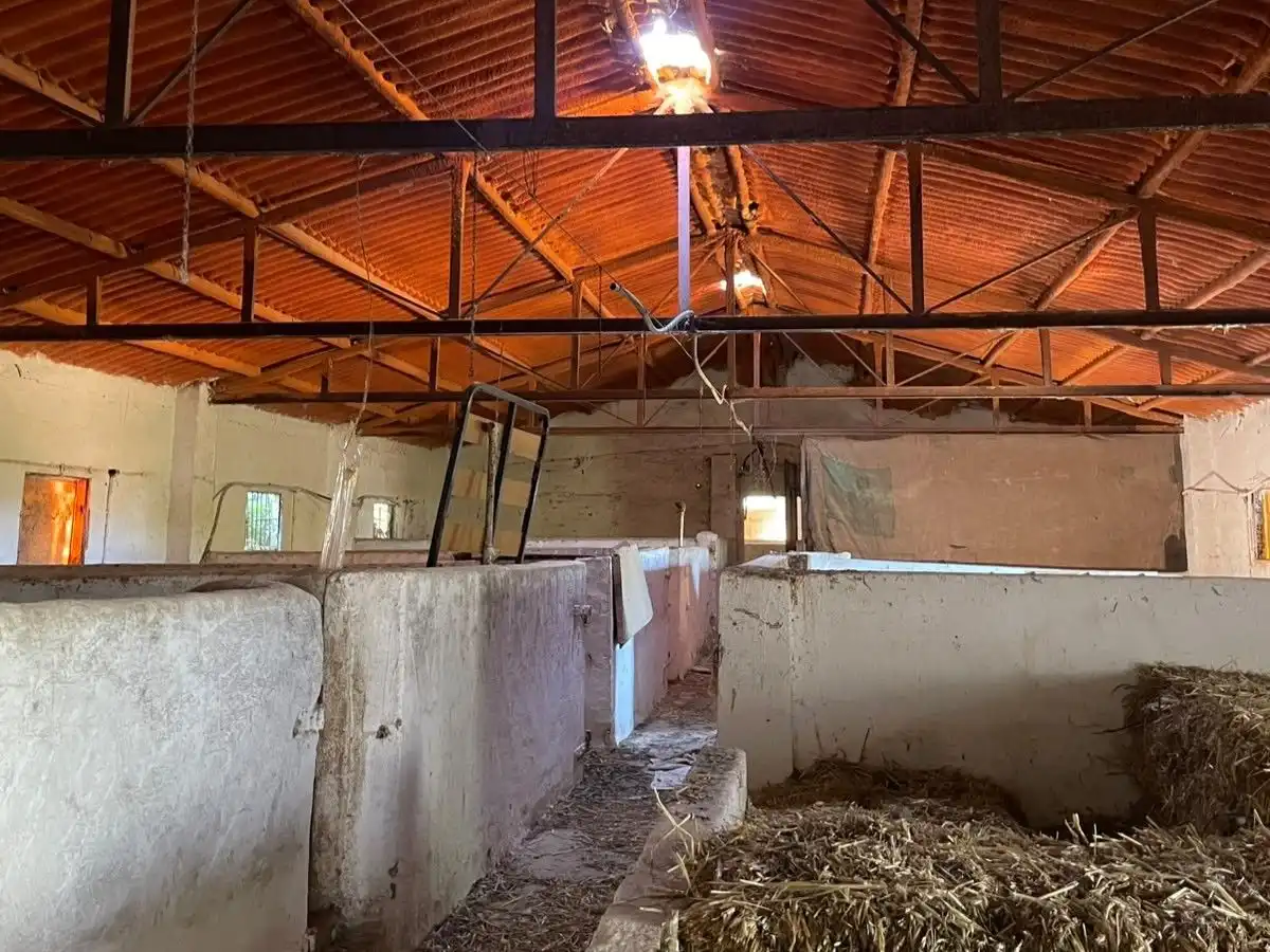 Terreno en venta en Almargen