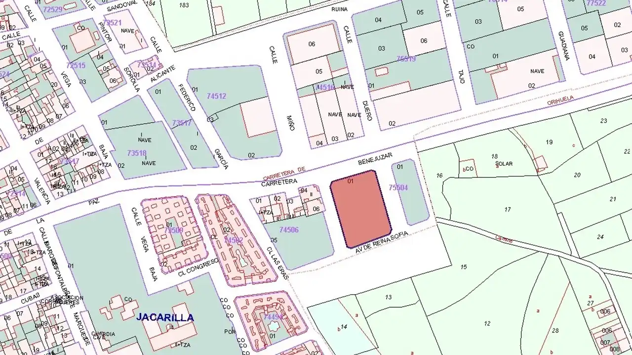 Rustikales Grundstück zum Verkauf in Ctra Benejúzar, imagen 2