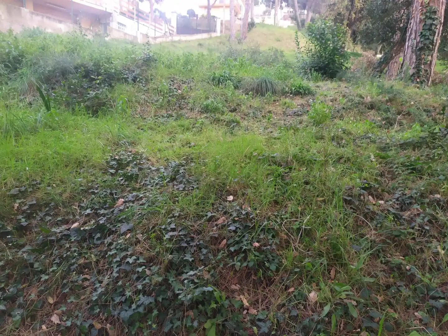 Wohnbaugrundstück zum Verkauf in Mas Mora - Sant Daniel, imagen 3