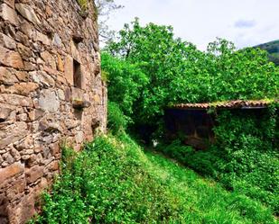 Vista exterior de Casa o xalet en venda en Mieres (Asturias) amb Piscina