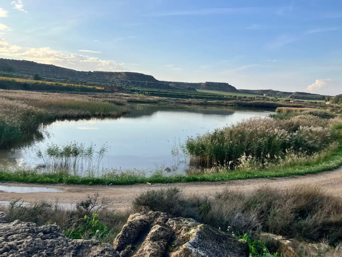 Terreno en venta en Zaragoza