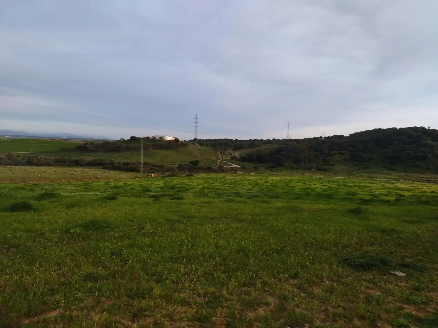 Terreni e lotti in vendita a Medina Sidonia, imagen 17
