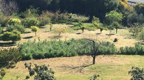 Foto 4 de Finca rústica en venta en El Padron, Los Llanos, Málaga