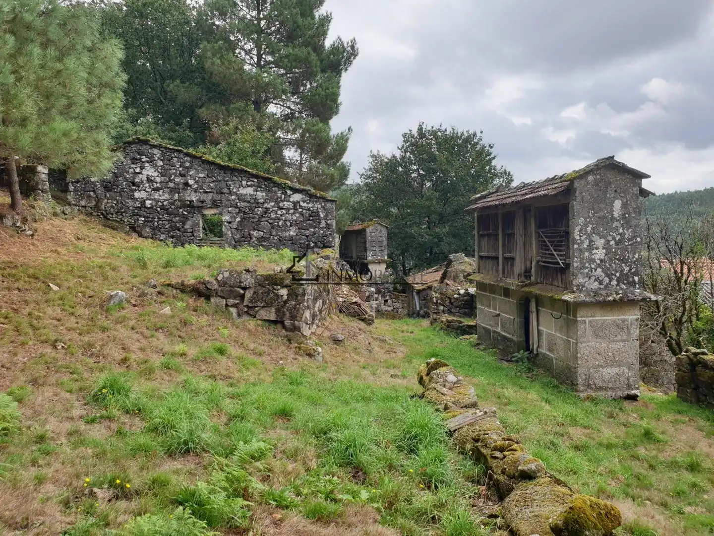 Vista exterior de Casa o chalet en venta en Campo Lameiro con Jardín privado