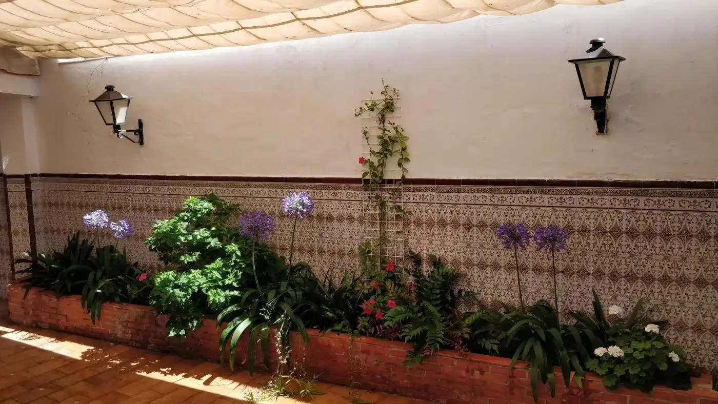Jardín de Casa o chalet en venta en El Puerto de Santa María con Terraza