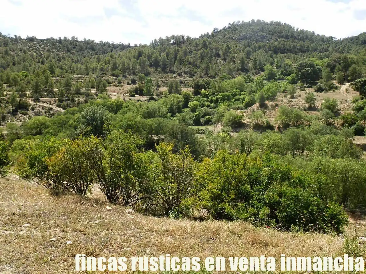 Rural land for sale in Letur, imagen 11