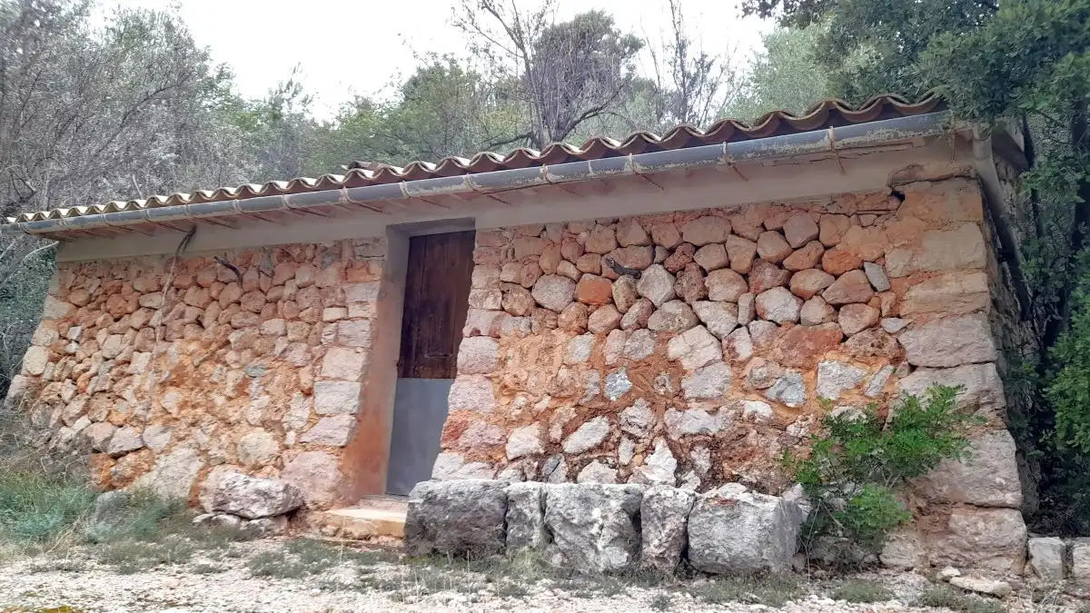 Terreny rústic en venda a Fornalutx, imagen 4