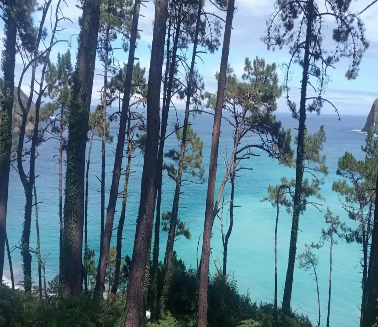 Vista exterior de Finca rústica en venda en Cudillero amb Jardí privat