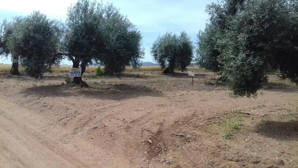 Terrain rustique à vendre à Don Benito