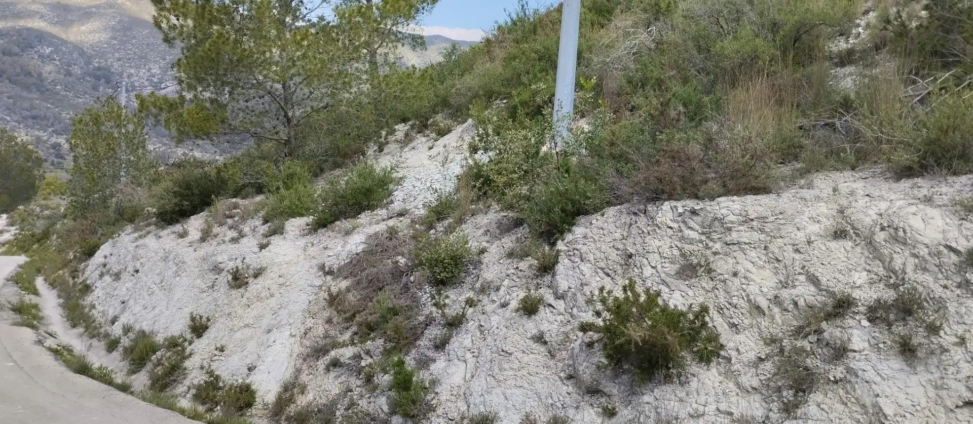 Terreny rústic en venda a La Vall de Gallinera, imagen 13