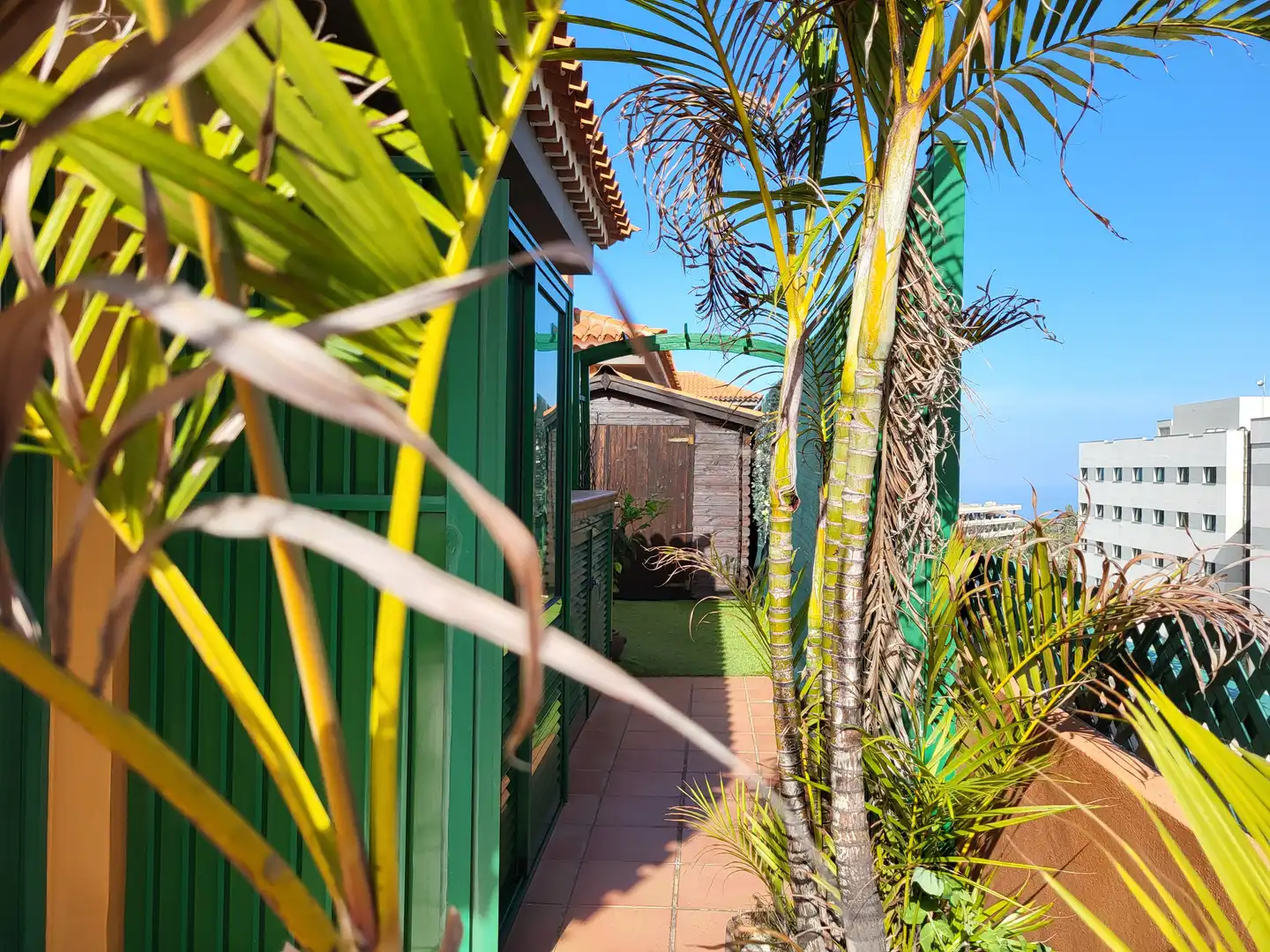 Terraza de Ático de alquiler en Puerto de la Cruz con Aire acondicionado, Terraza y Trastero