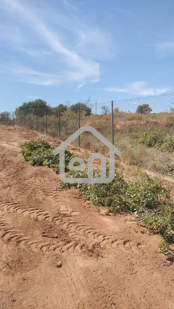 Rural land for sale in Requena, imagen 19